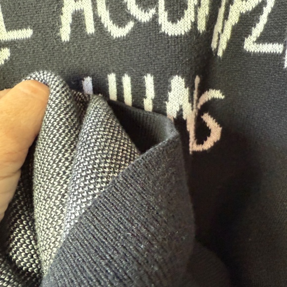 Teddy Fresh - I Will Accomplish Nothing Today Knit Sweater XL - Picture 8 of 13